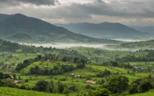 Découvrir paysages du Cameroun